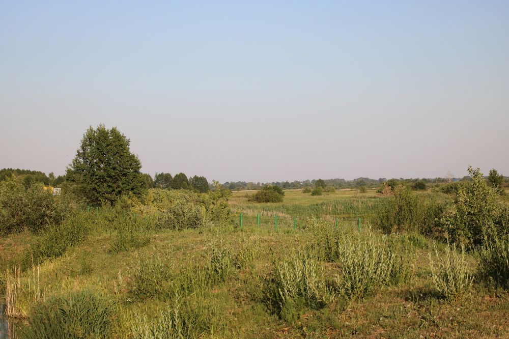 Photograph by Евгения Малафеева