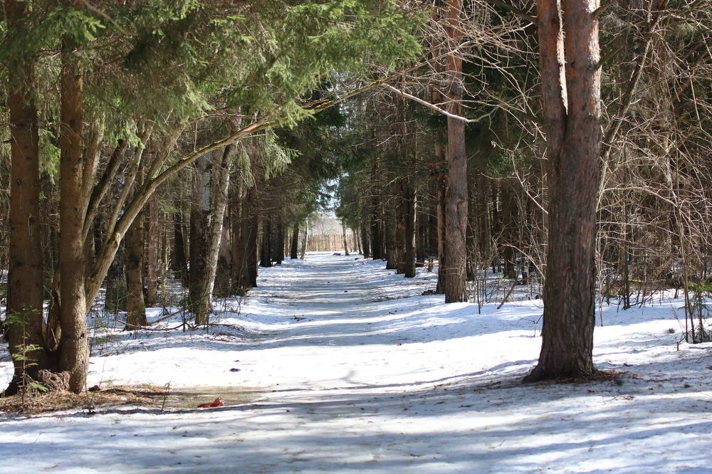 Весенний парк