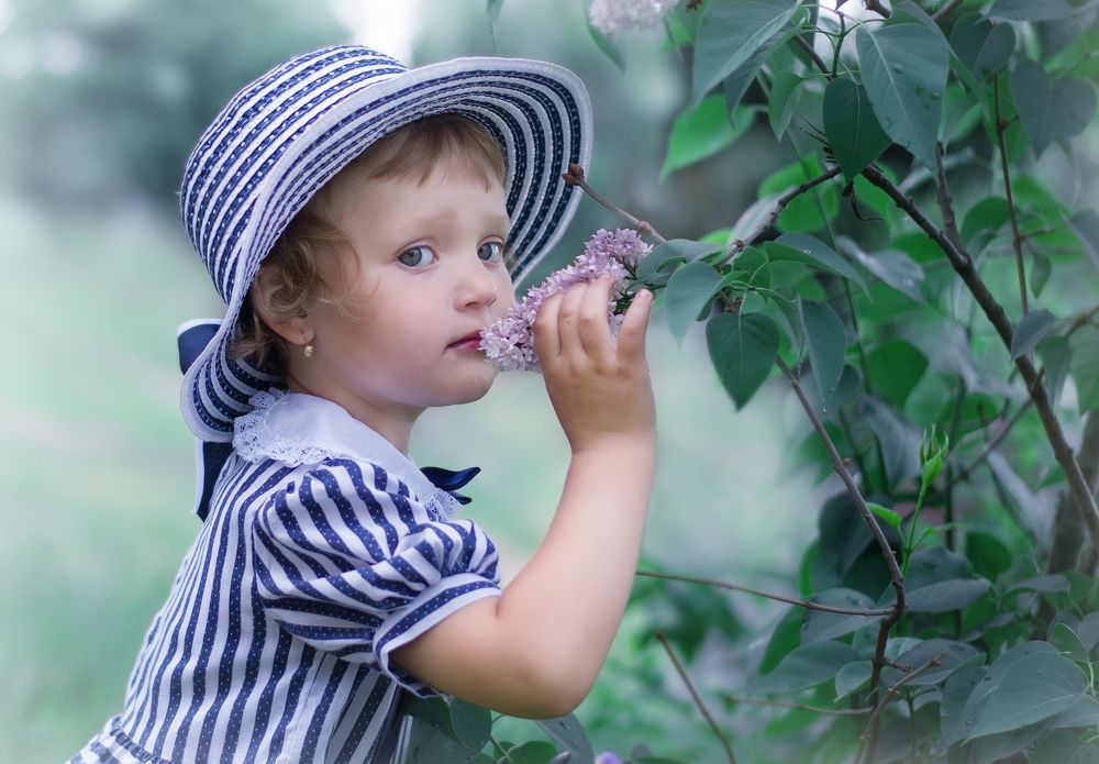 Юная Сирень