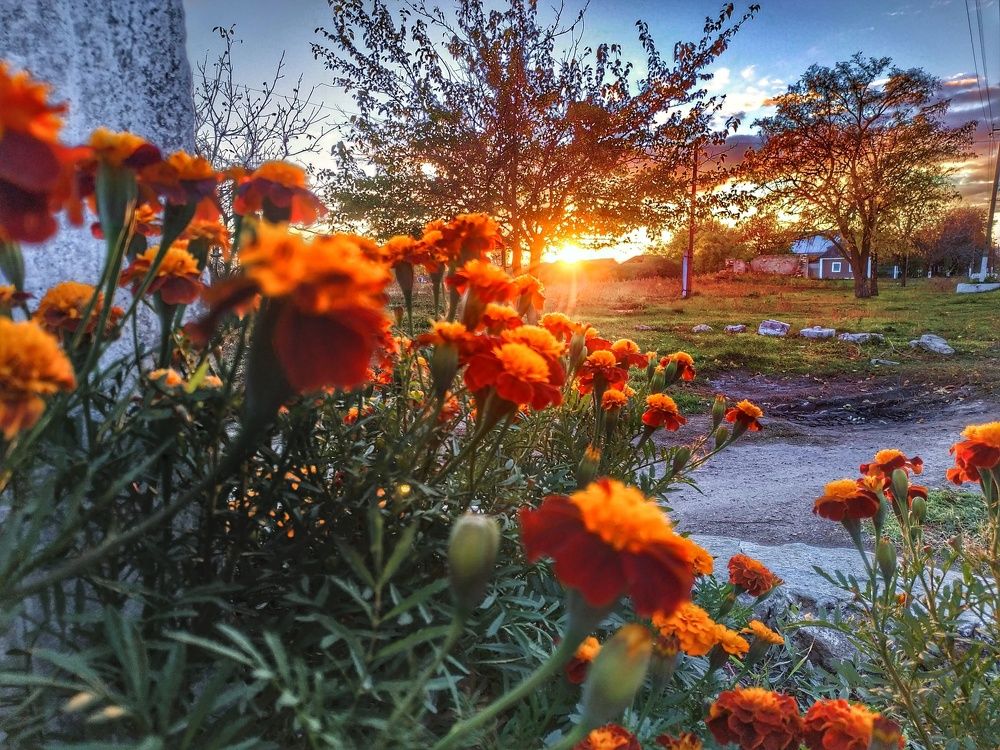 Мир вокруг нас