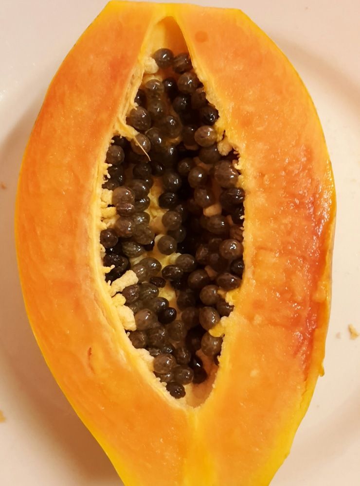 papaya