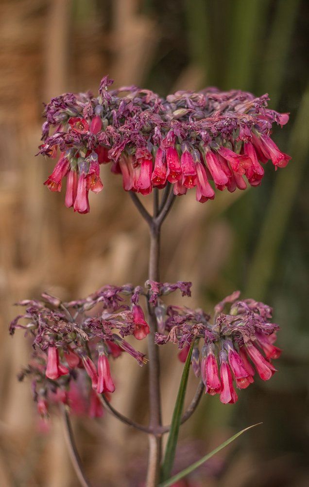 Фотография автора Marina Motey