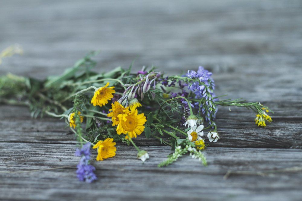 Фотография автора Marina Motey