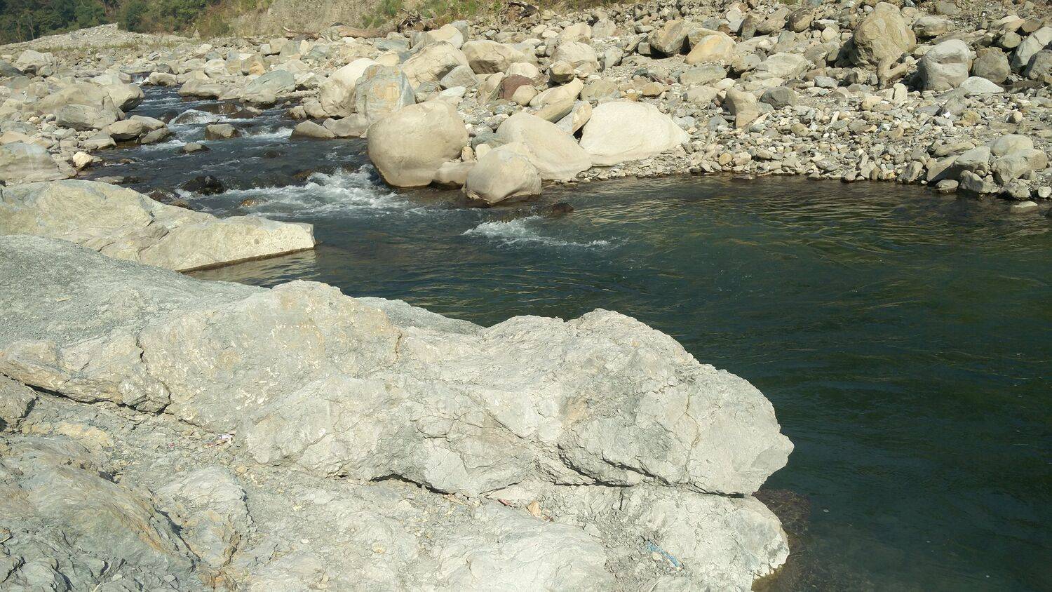 Nature Nature