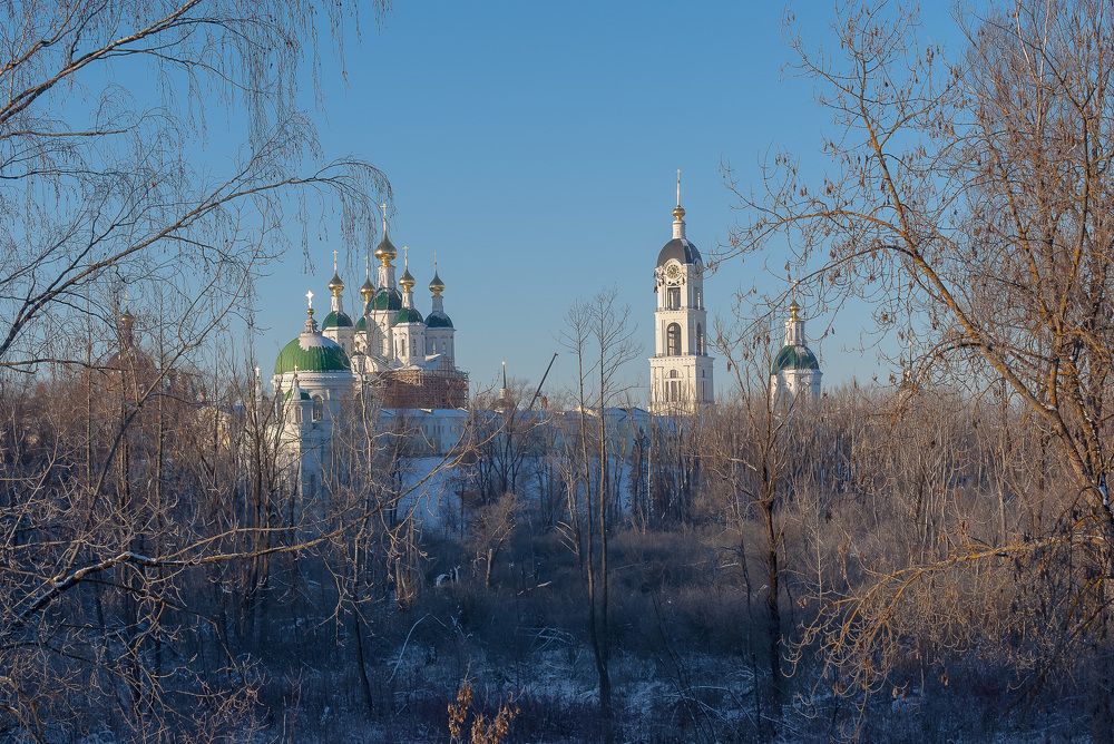 Вид на Саровский монастырь