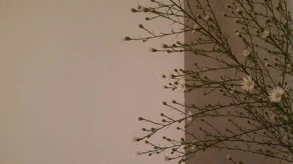 Россыпь. Placer.