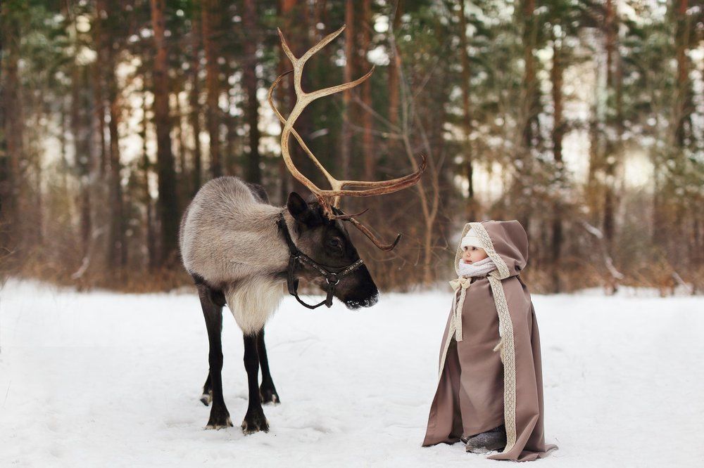 Сказочная встреча