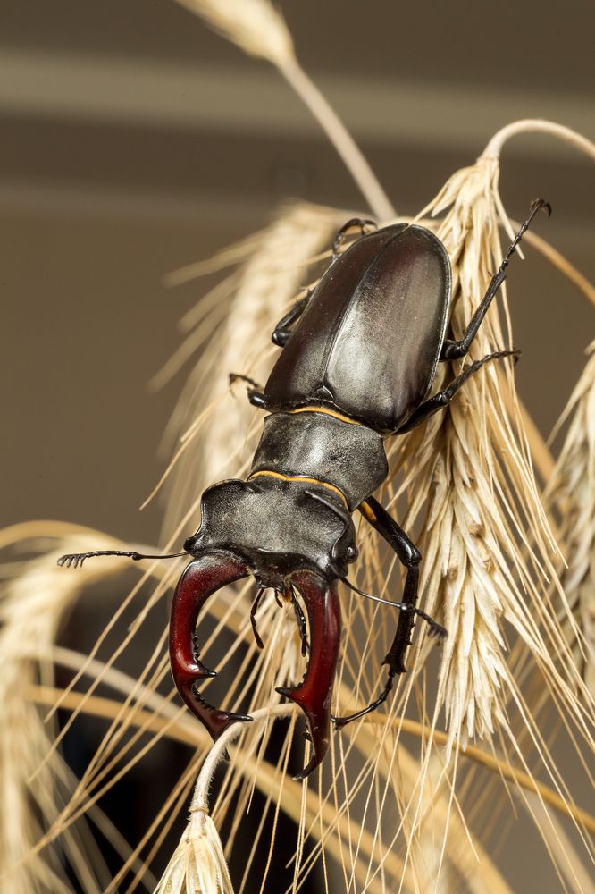 Photograph by Антон Кривошейцев