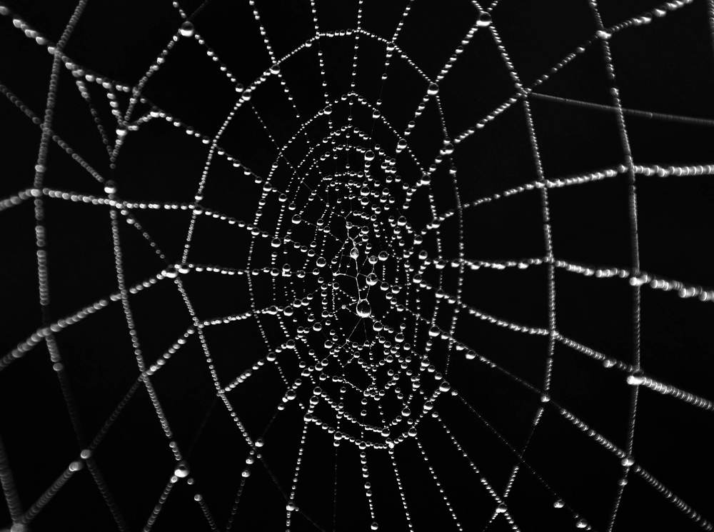 Плетение бисером