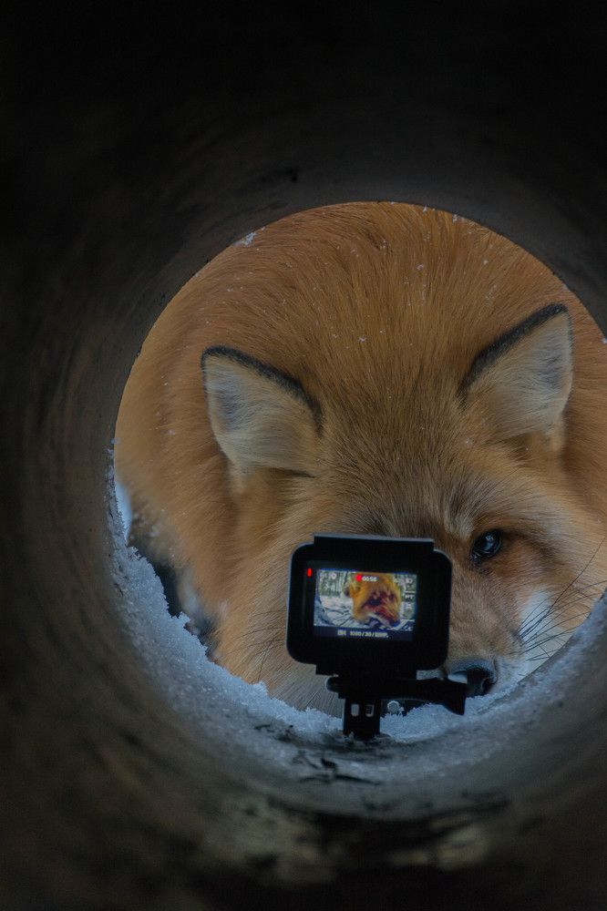 «А кто это там такой любопытный?»