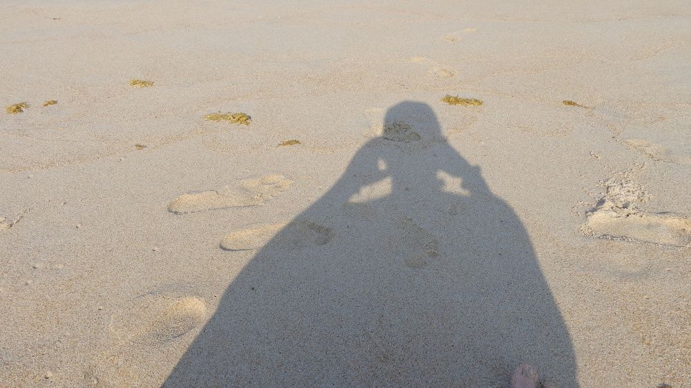 Under the Sun