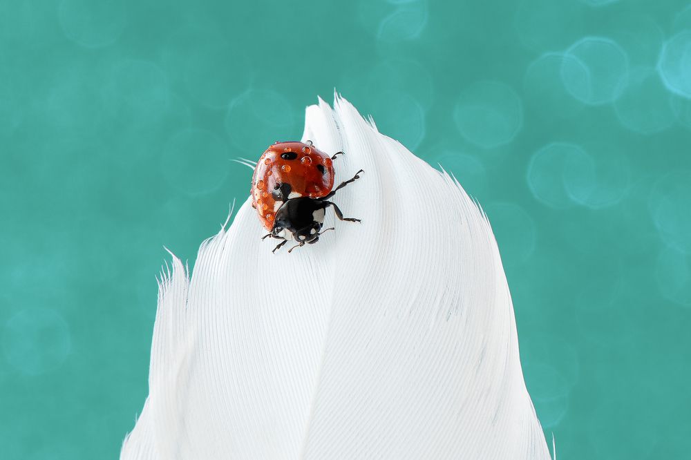 Photograph by Татьяна Золотых