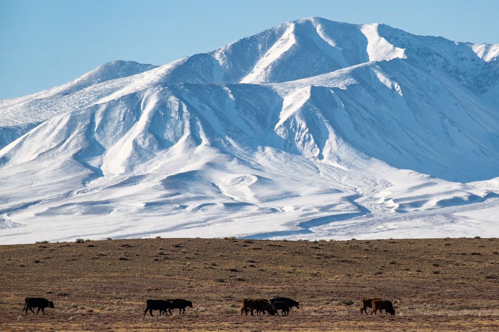 Монгольский пейзаж