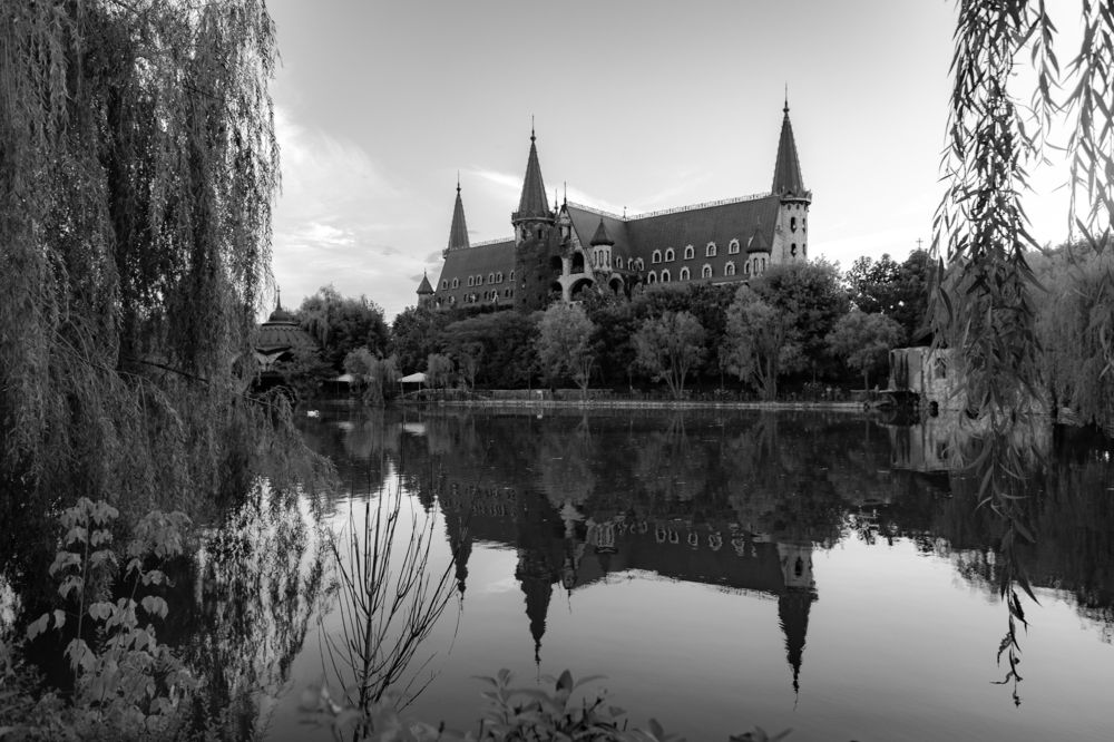 Photograph by Дмитрий Щелкунов