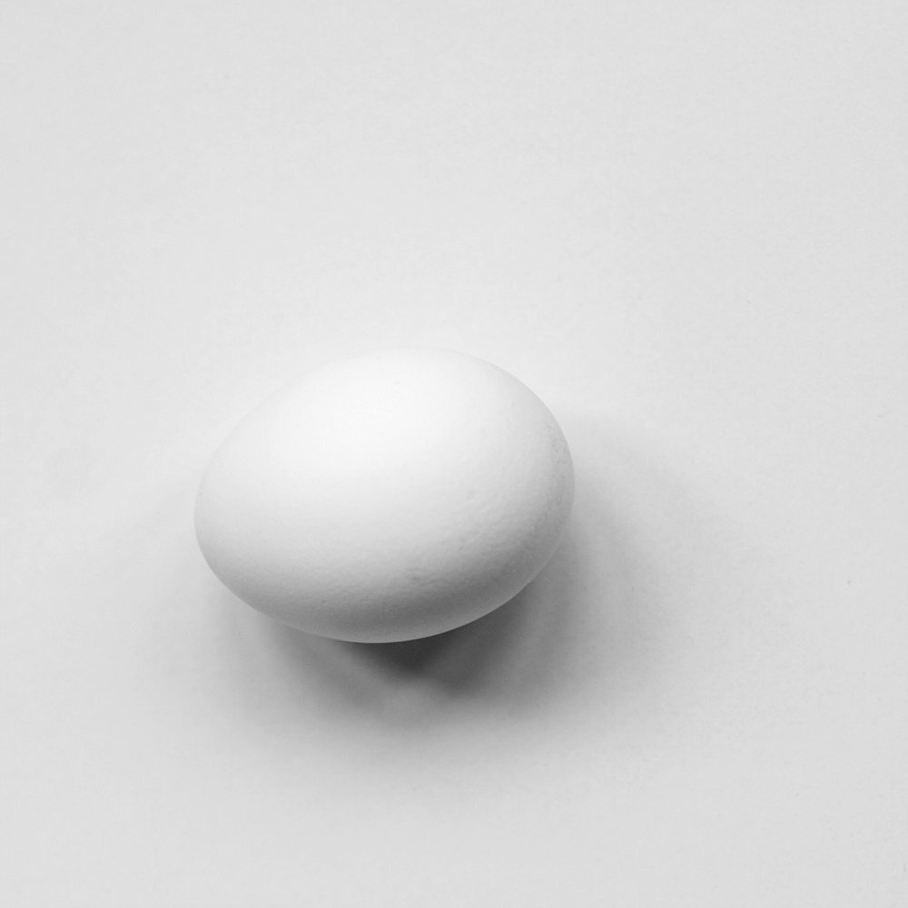 Initium vitae