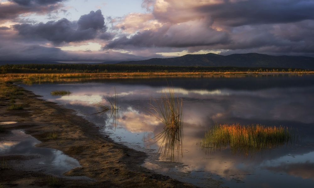 Осеннее утро