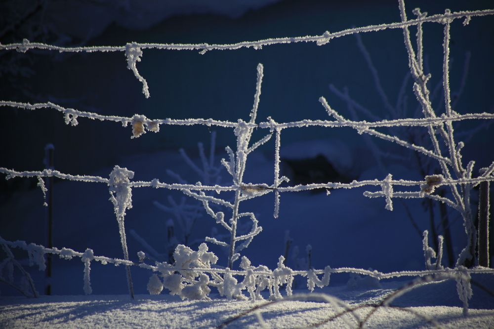 Зимние ноты