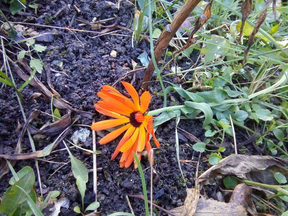 Вот и лето прошло...