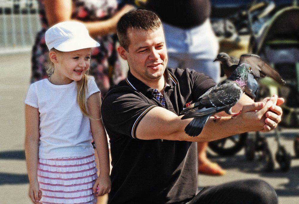 привет птички