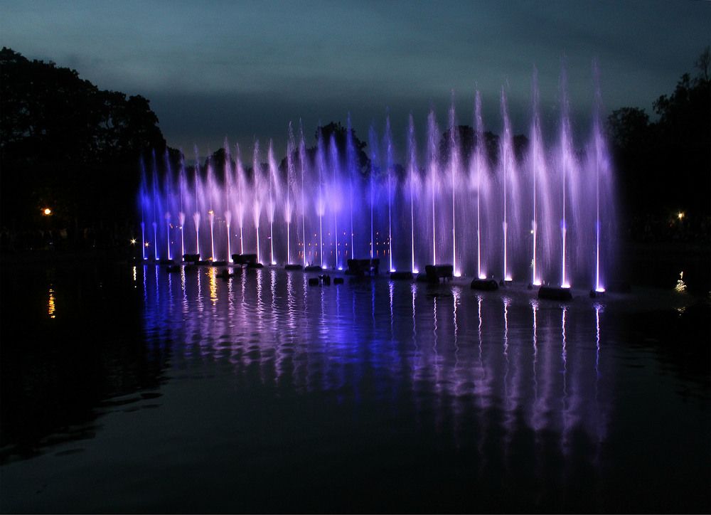 Ночное шоу в парке