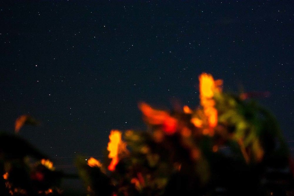 Photograph by Андрей Скобелев