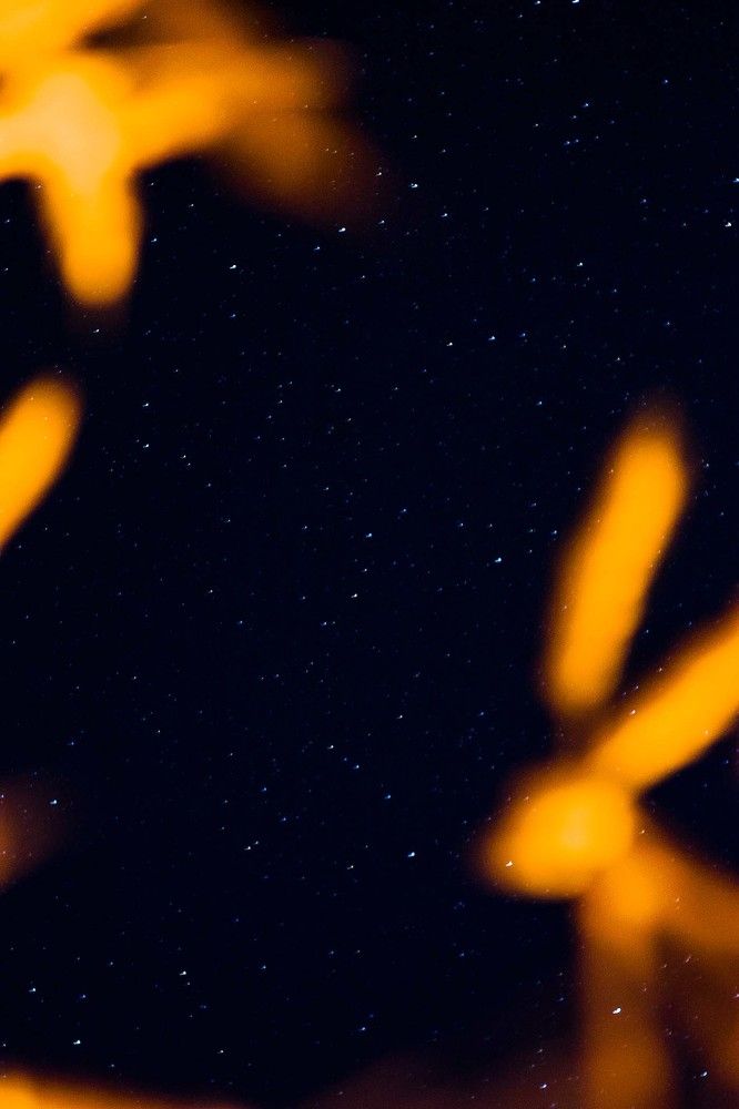 Photograph by Андрей Скобелев