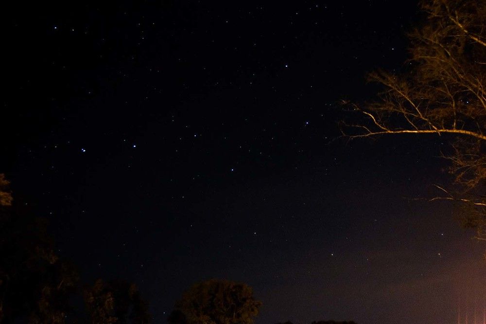 Большая медведица