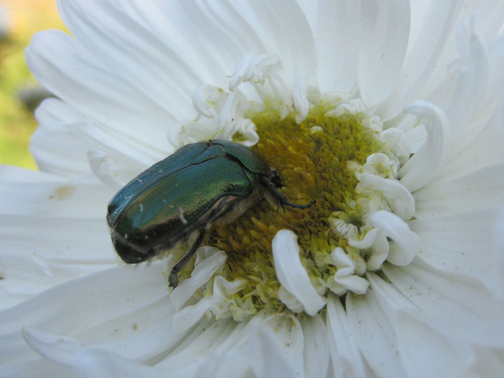 Photograph by Владимир