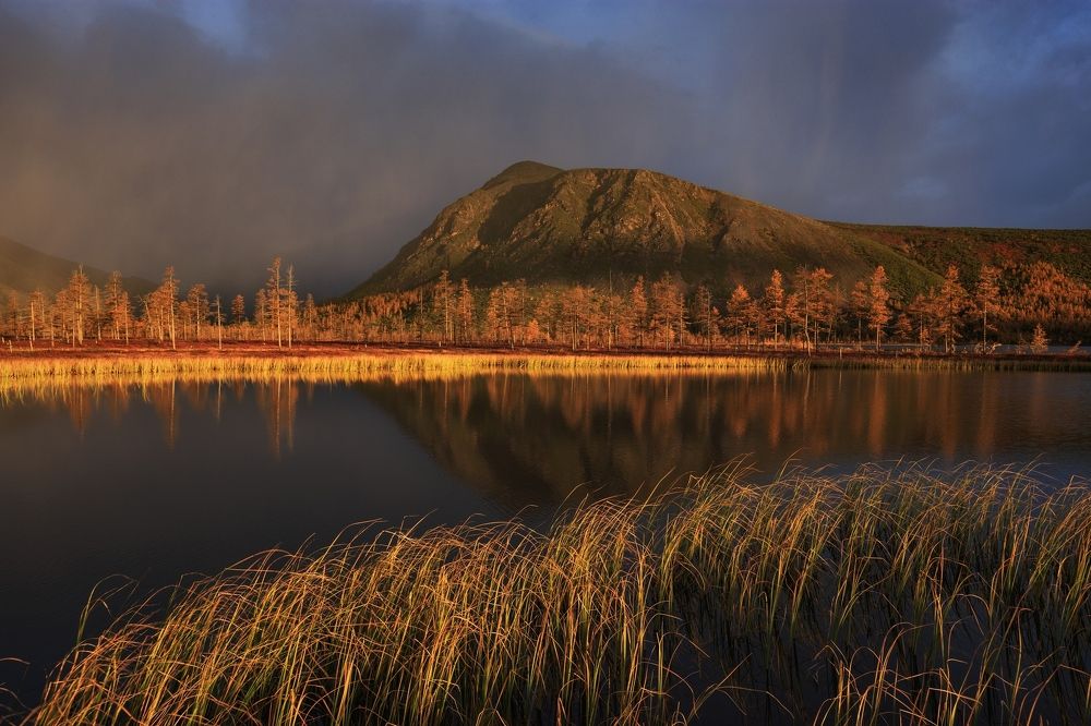 В пелене дождя