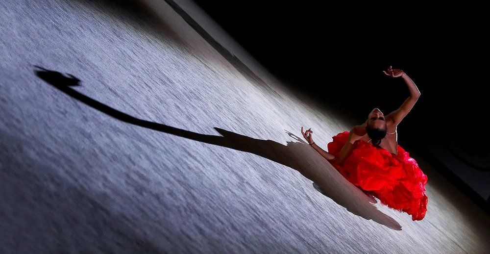 Царевна-лебедь