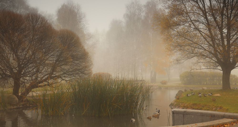 Старый парк