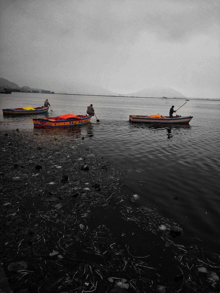 Sailing In Different Directions But Aspiring To Reach The Same Destination - Home !