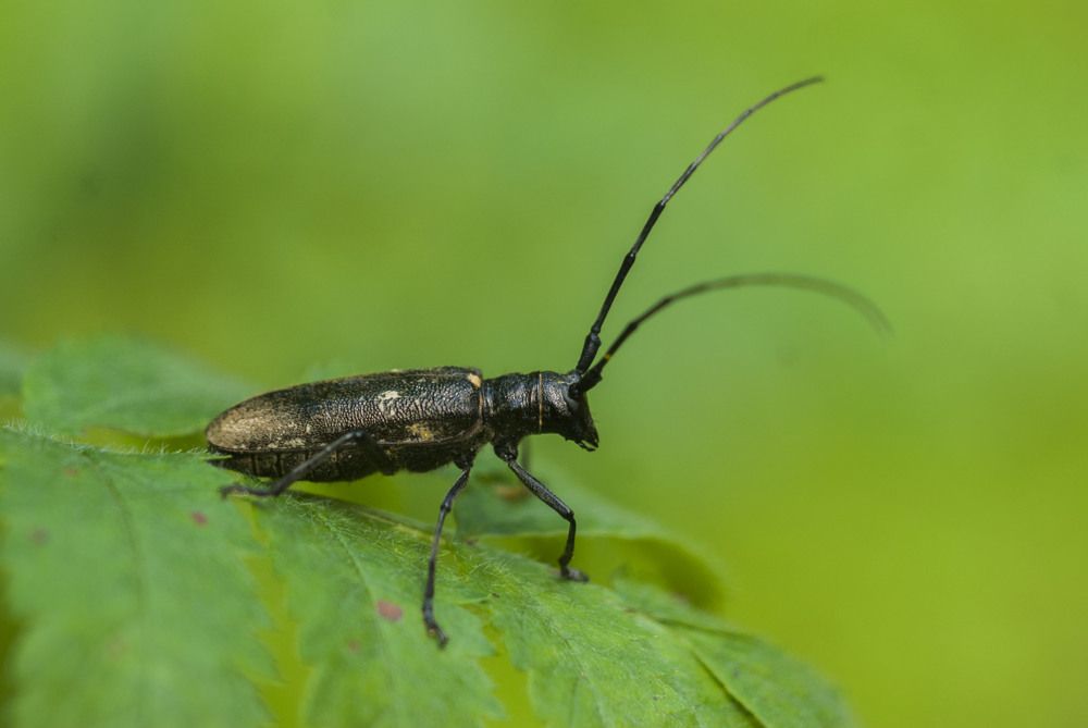 Photograph by Виктор Печищев