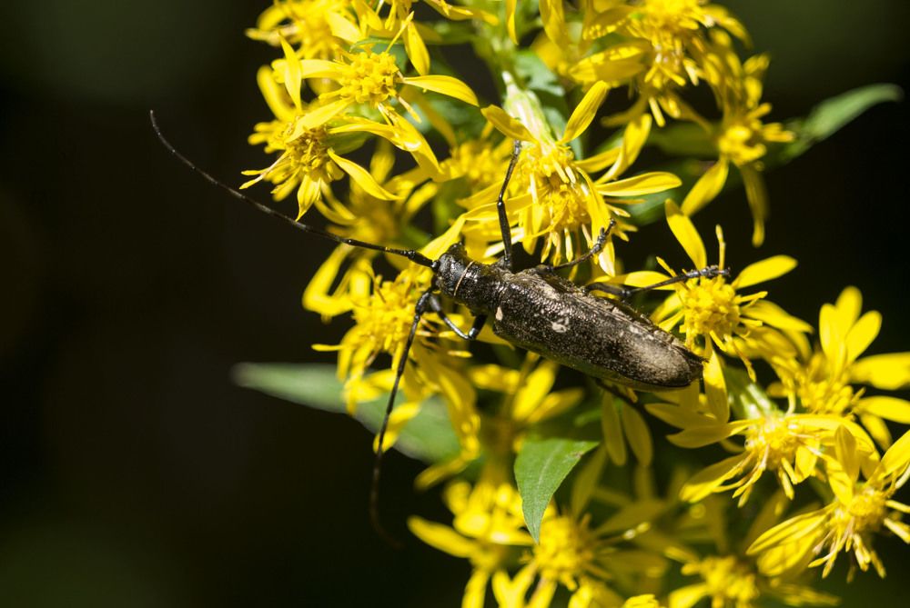 Photograph by Виктор Печищев