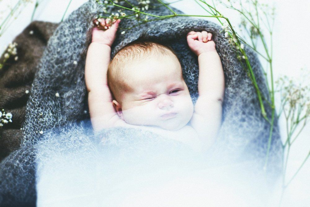 Photograph by Виталий Гуляев