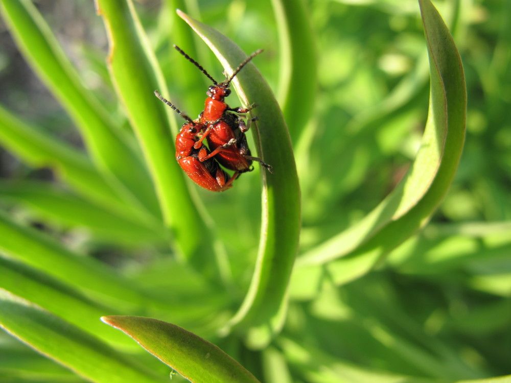 Photograph by Ирина