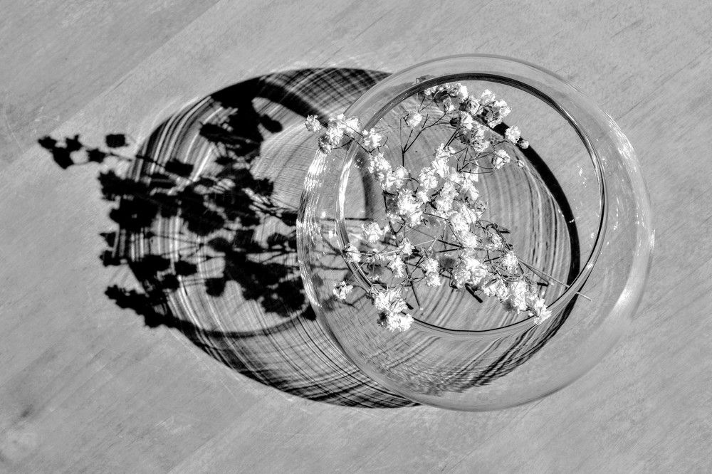 Photograph by Елена Боржковская