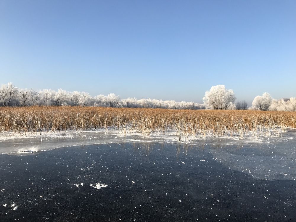 Ледянящая красота