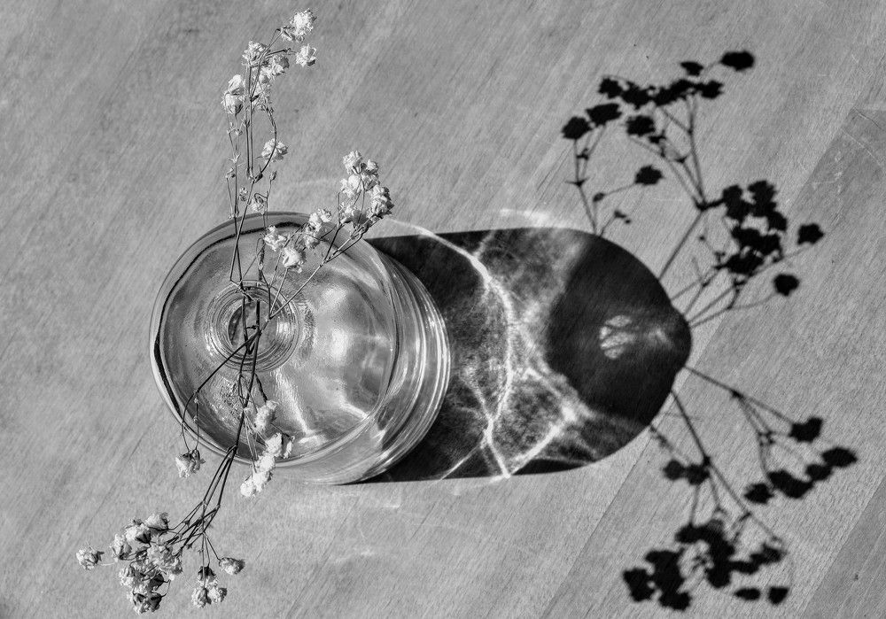 Photograph by Елена Боржковская