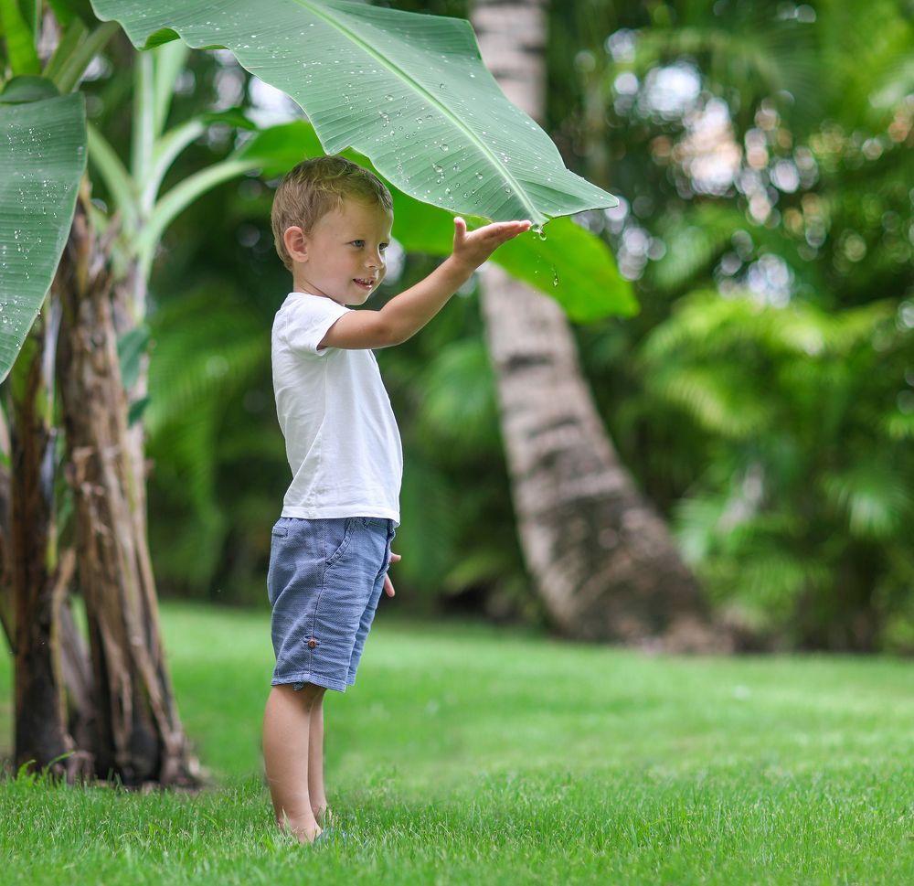 Капли дождя