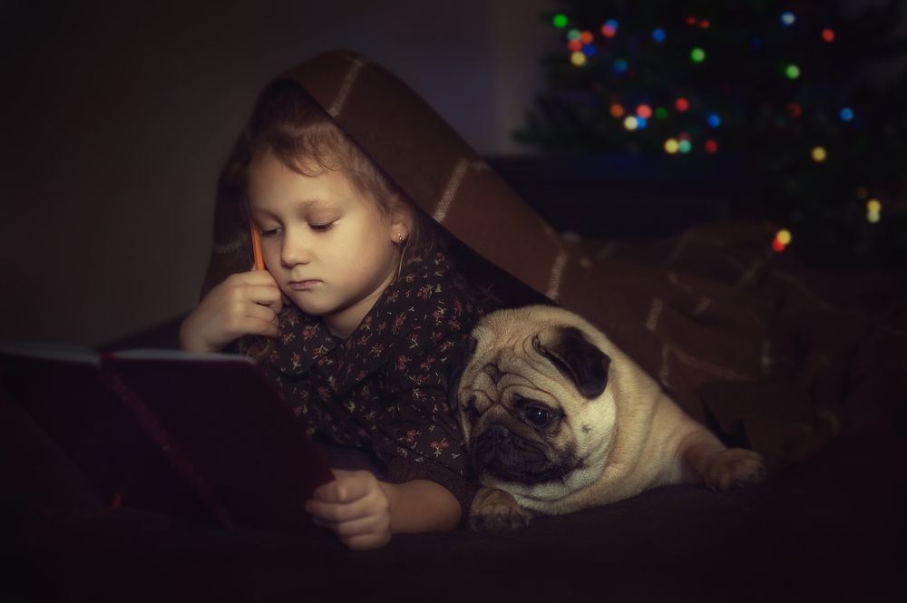 Сказка на ночь!