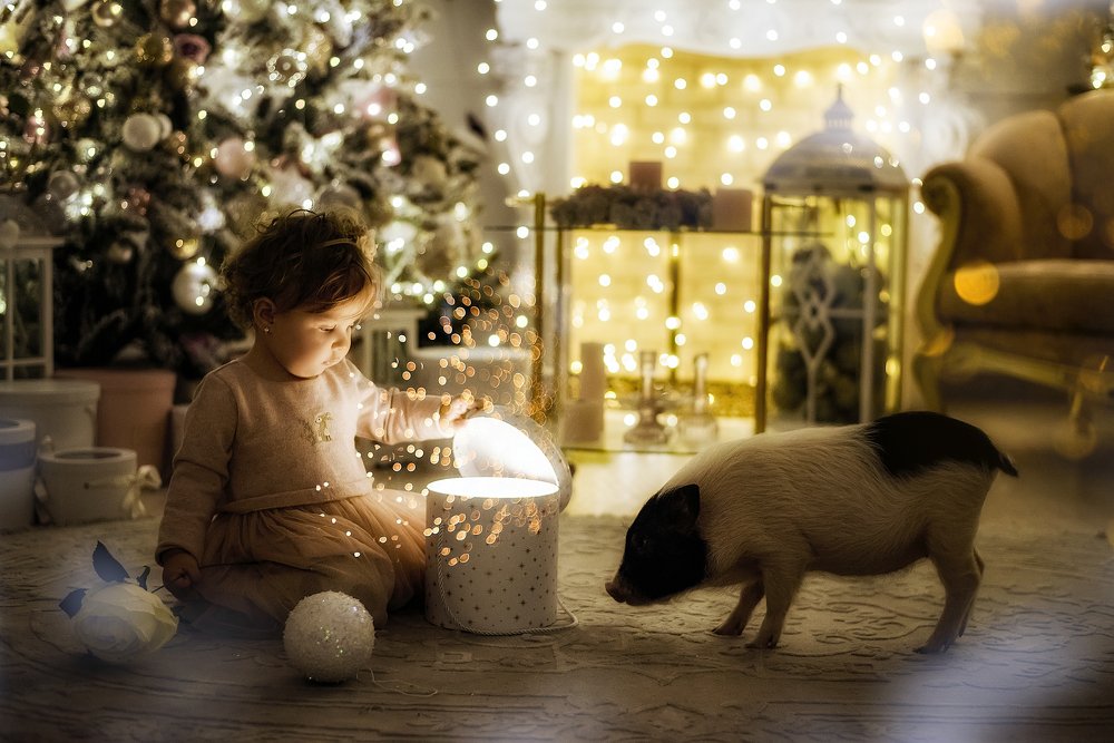 Волшебство с символом года ♥