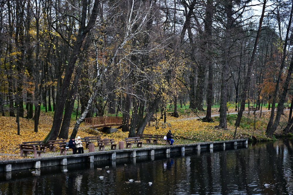 Золотая осень.