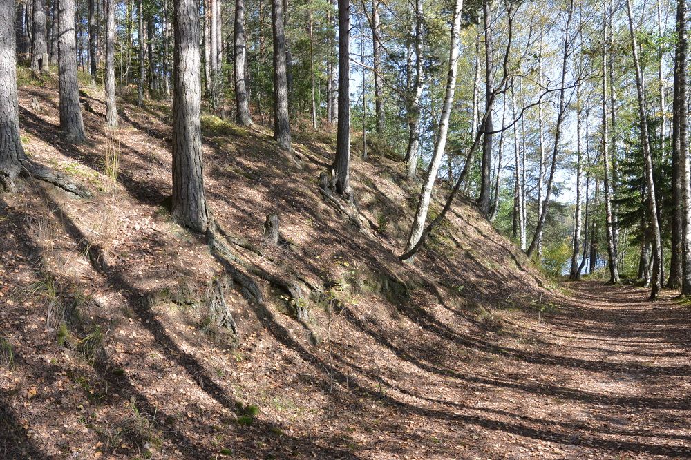 Фотография автора Dimitrii Aristoff