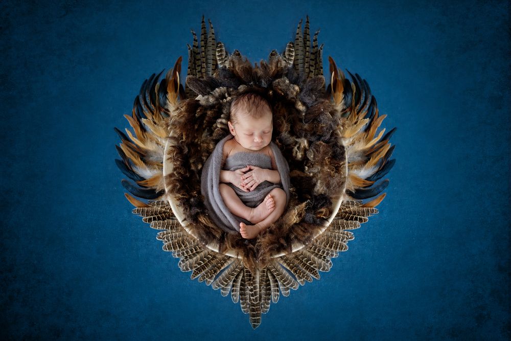 Ясный сокол