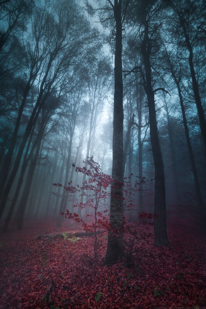 Осенние сказки