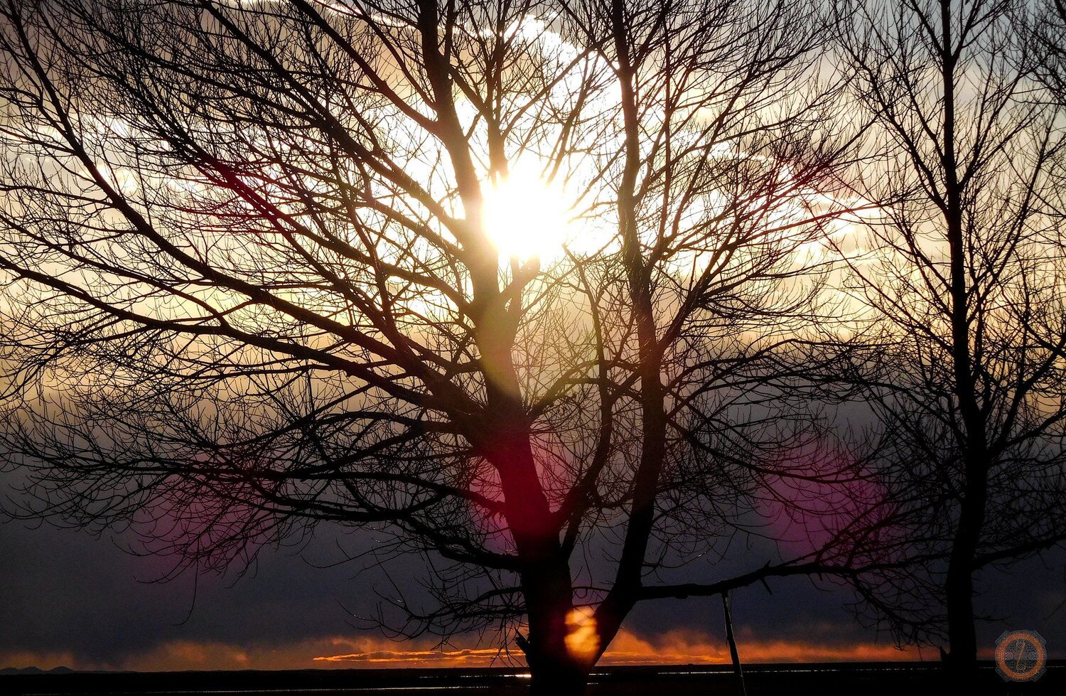 burning in the skies