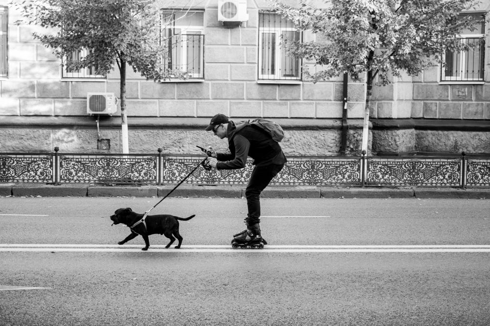 Photograph by Станислава Войцеховская