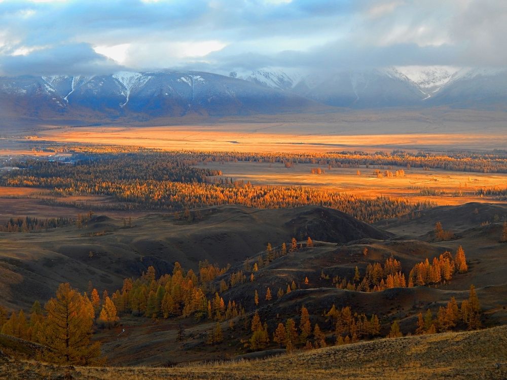 Photograph by Анастасия