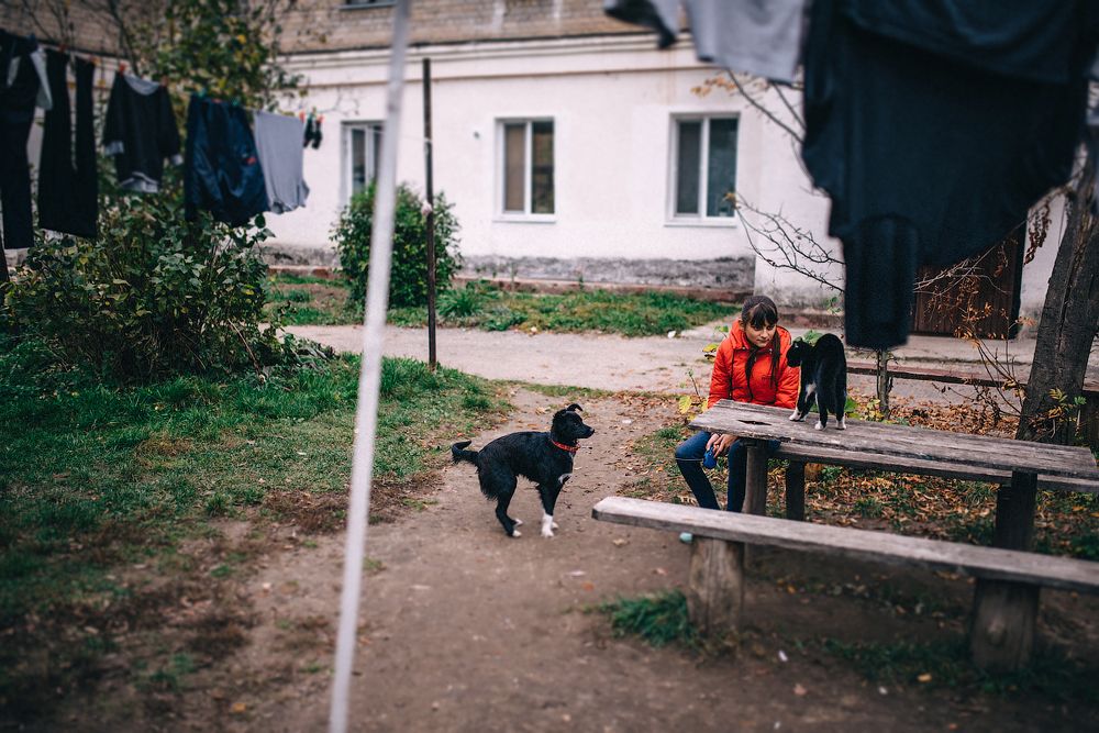 как кошка с собакой...